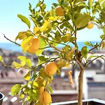 Appartement Septieme Ciel - Exceptionnel Vue *