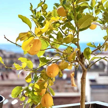 Appartement Septieme Ciel - Exceptionnel Vue *